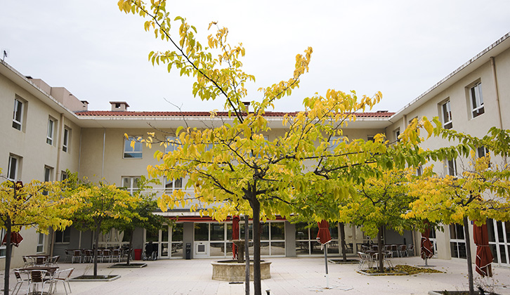 L'Arbois